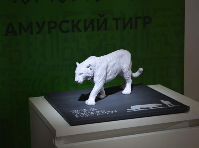    Фото: v-kurse.ru