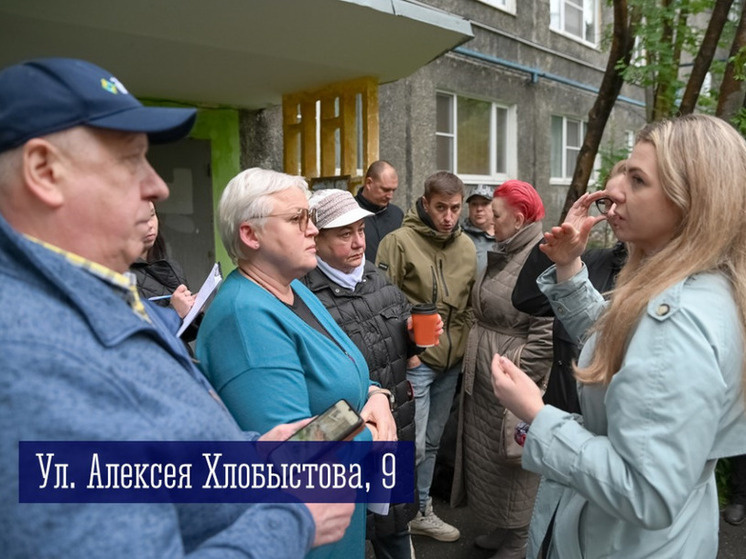     На Хлобыстова просили установить видеокамеру. Фото: пресс-служба администрации Мурманска