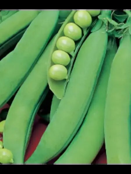   📷
