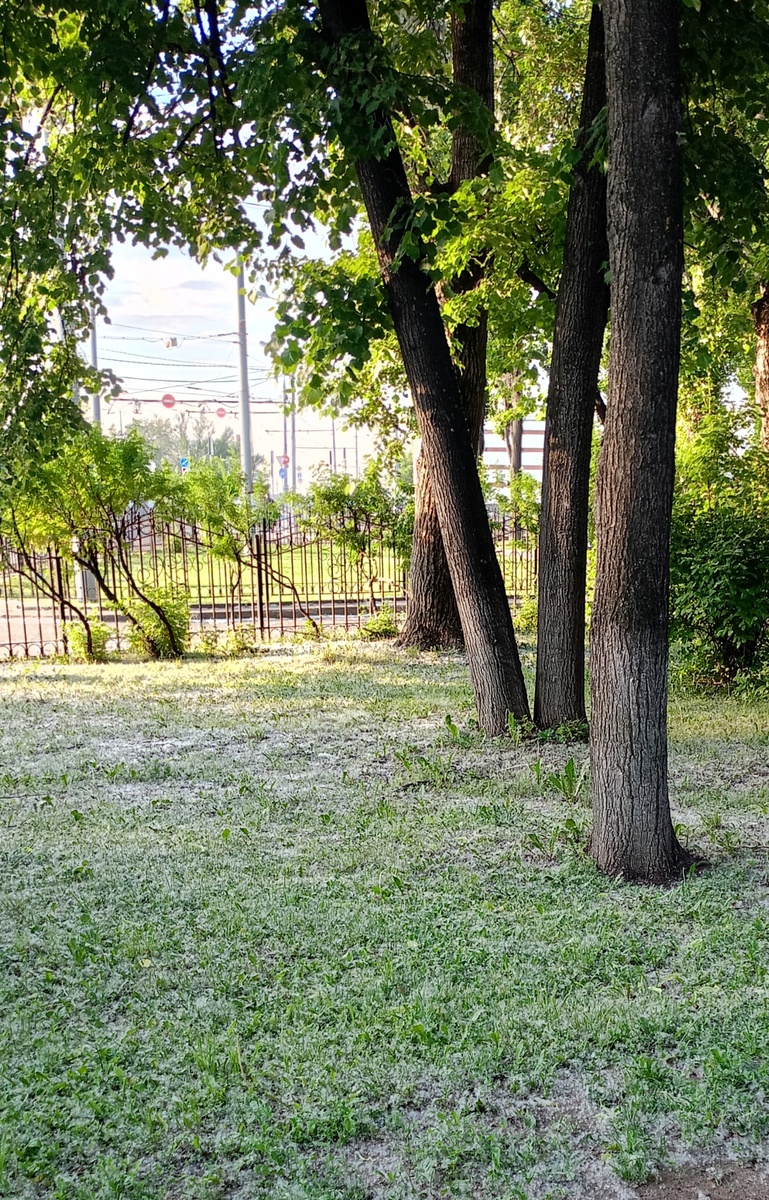 Фото автора. 