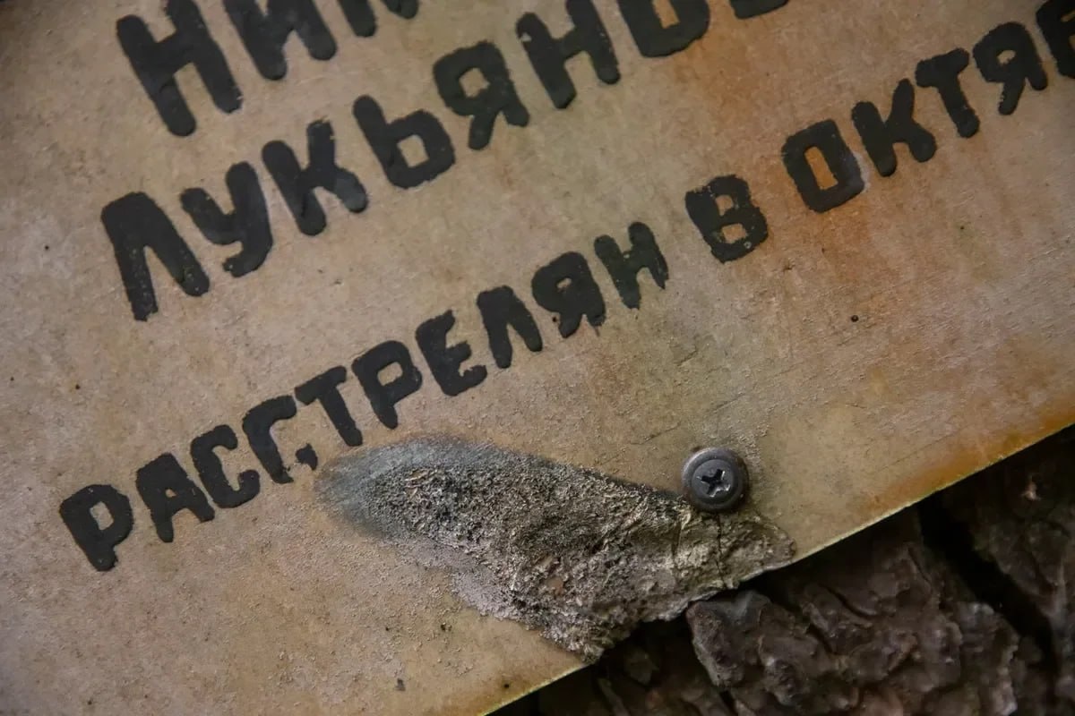 Фото: Алексей Душутин