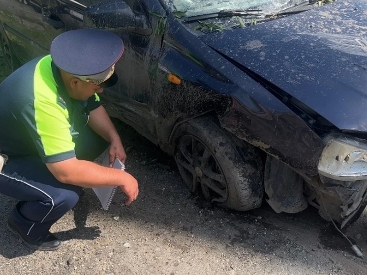     Фото: управление ГАИ по Свердловской области