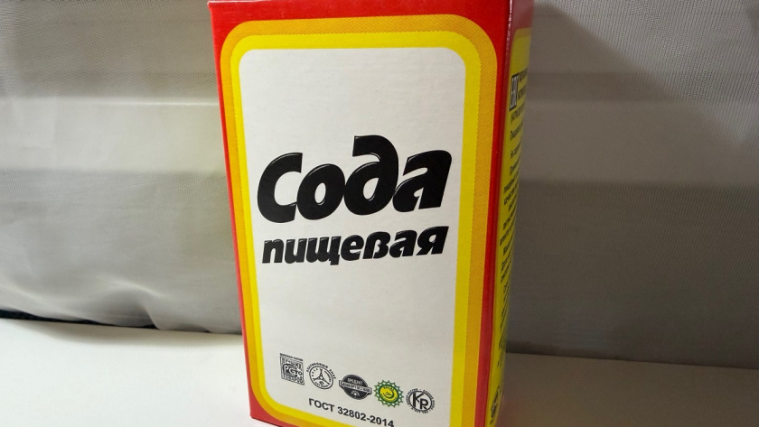   Фото из архива редакции
