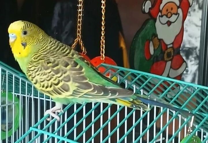    Фото:из семейного архива Анны Сон