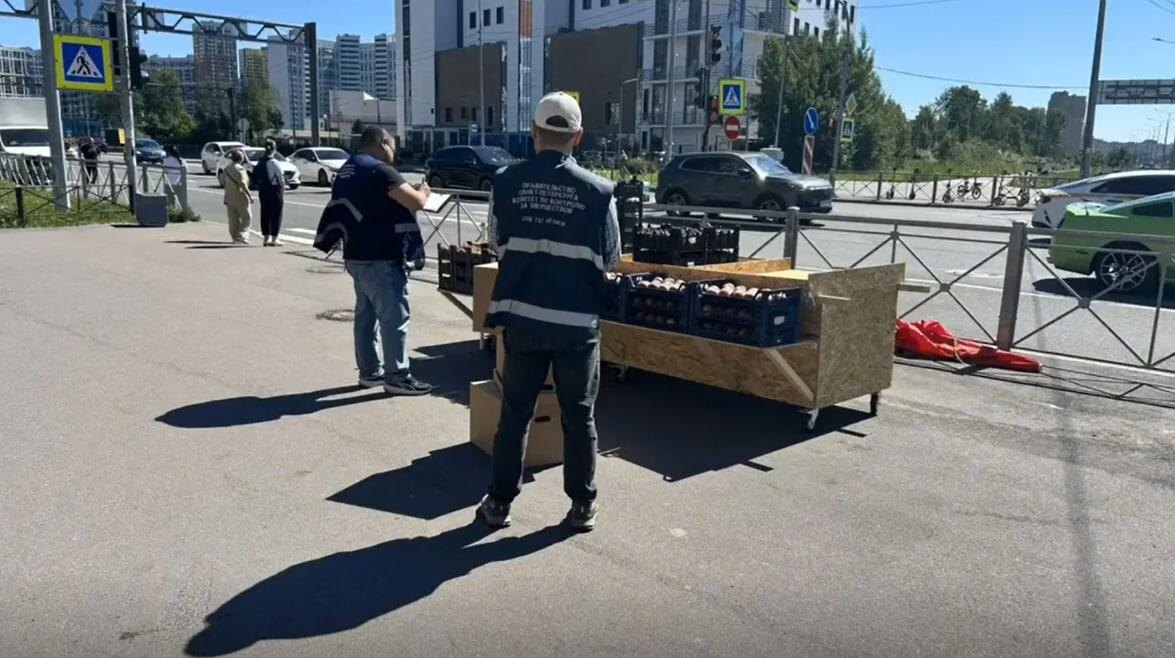    Фото: пресс-служба комитета по контролю за имуществом Петербурга