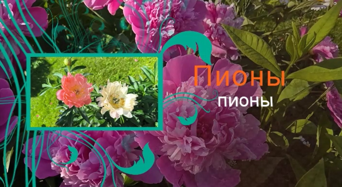 фото из личного архива