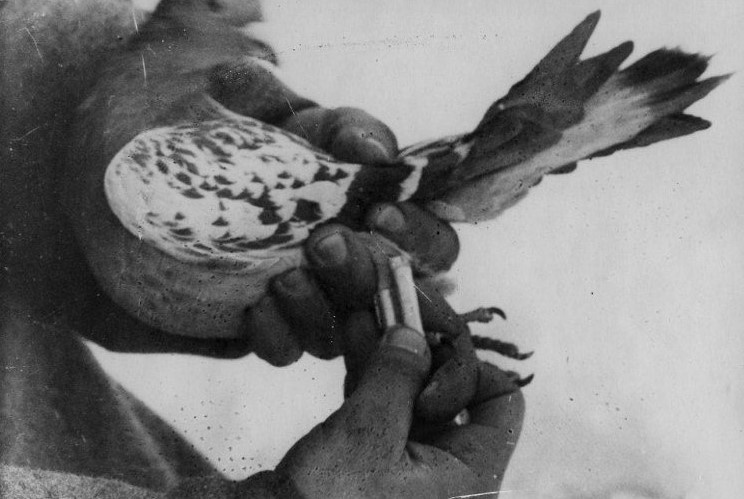 Фотохроника ТАСС. Военно-исторический музей артиллерии, инженерных войск и войск связи МО РФ.