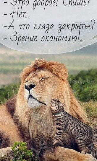 Подборка мемов с животными, новая порция позитива