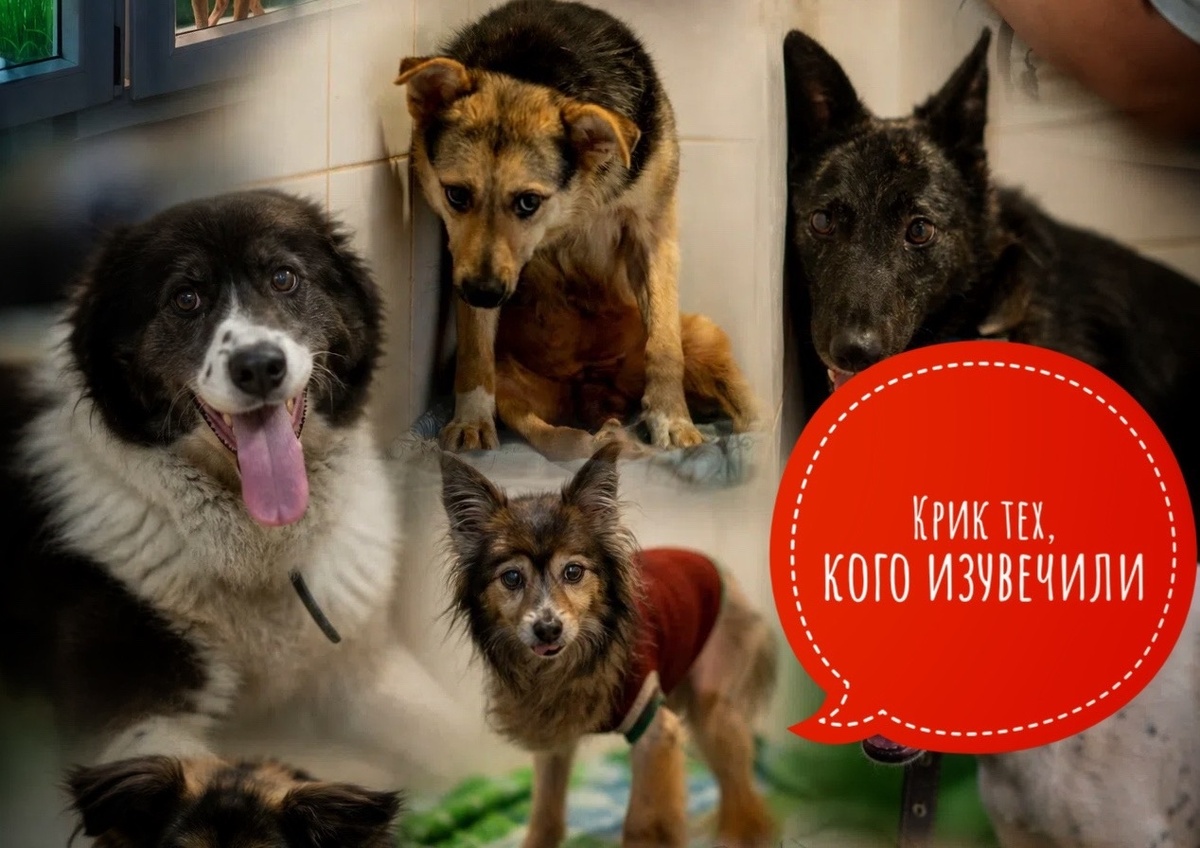 КРИК О ПОМОЩИ для тех, кого уже раз предали!