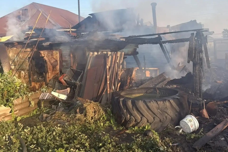   Фото: СУ СК России по Омской области