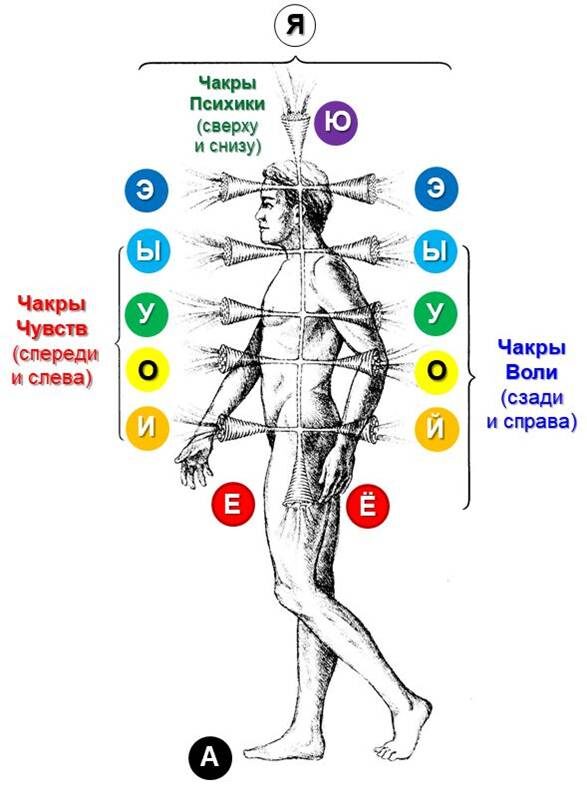 Схема энергетической русской азбуки на теле человека