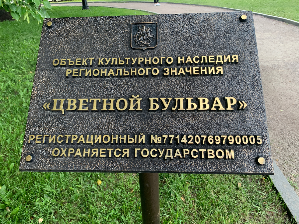 Фото автора статьи