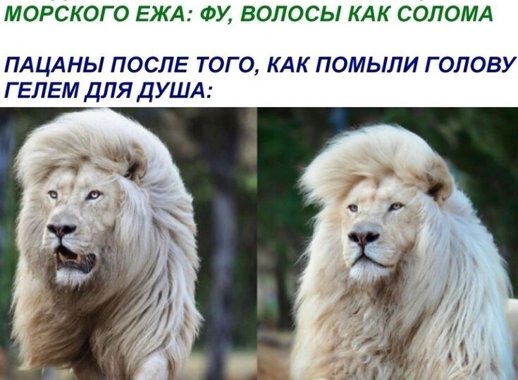 Веселые мемы свежая подборка