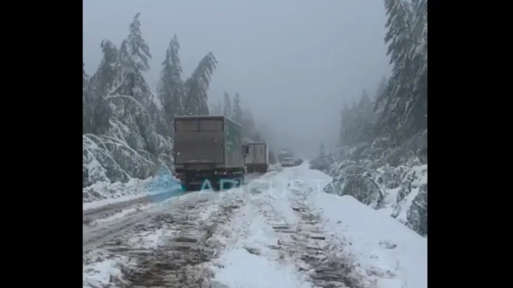    фото: скриншот видео