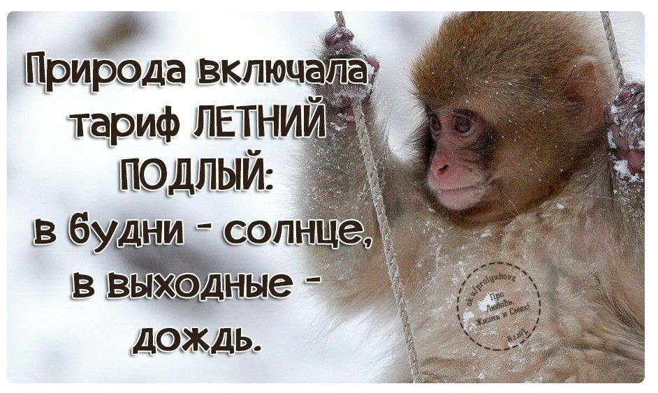 Источник картинки ru.pinterest