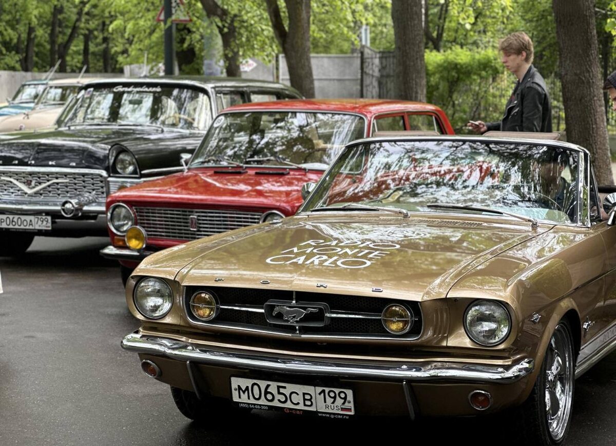    Фото: РМГ