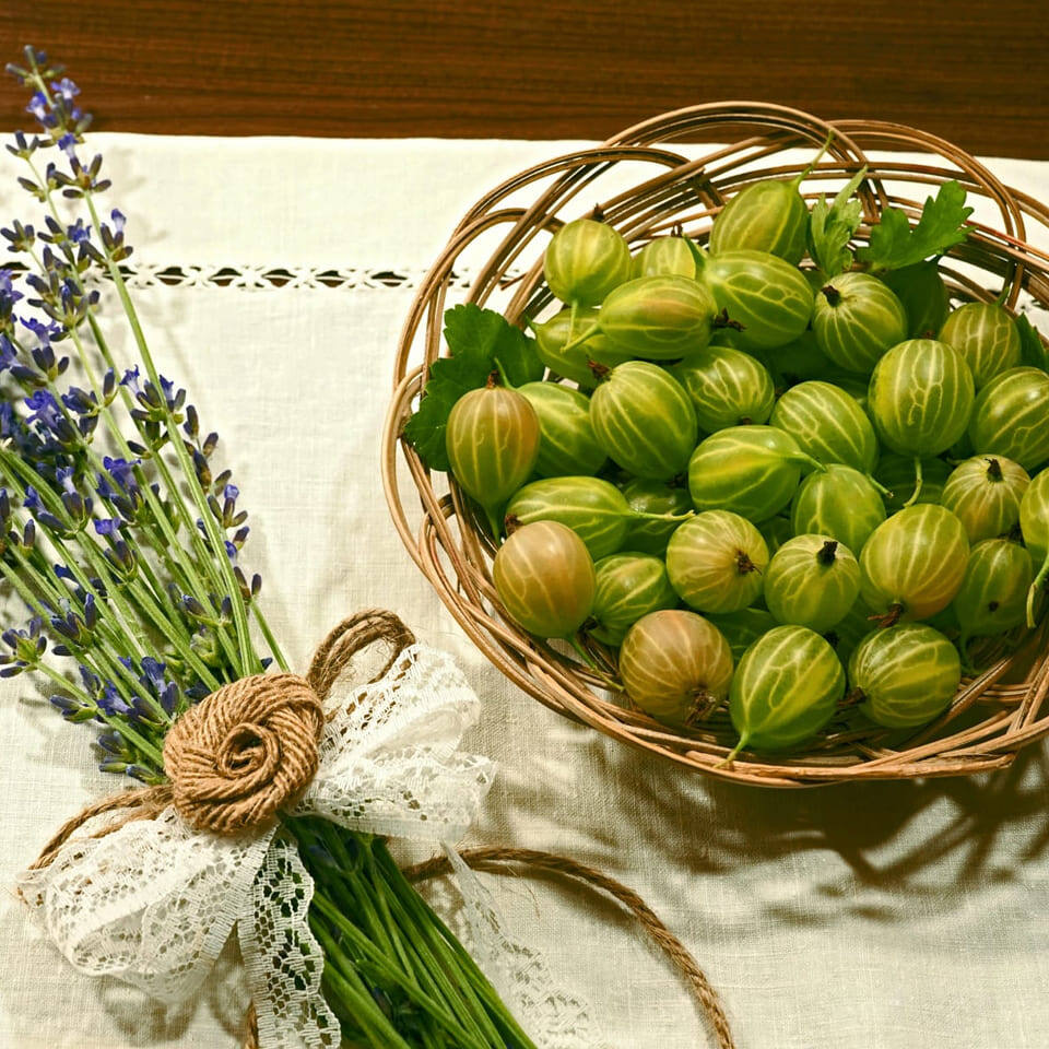 Польза крыжовника