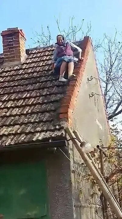 Фото из Яндекса