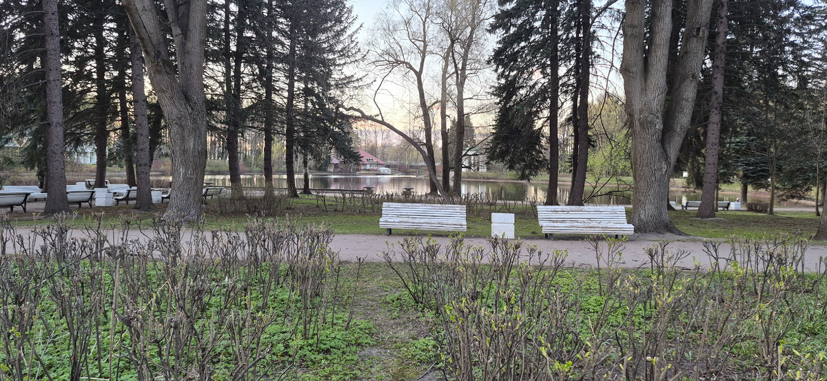 Приморский парк Победы, Санкт-Петербург (личное фото)