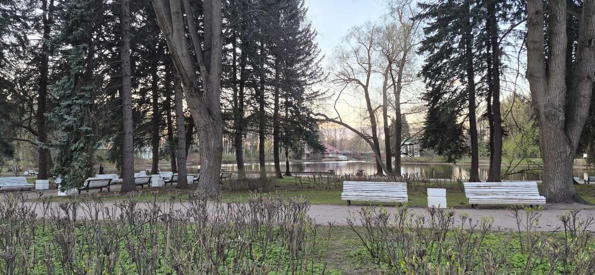 Приморский парк Победы, Санкт-Петербург (личное фото)