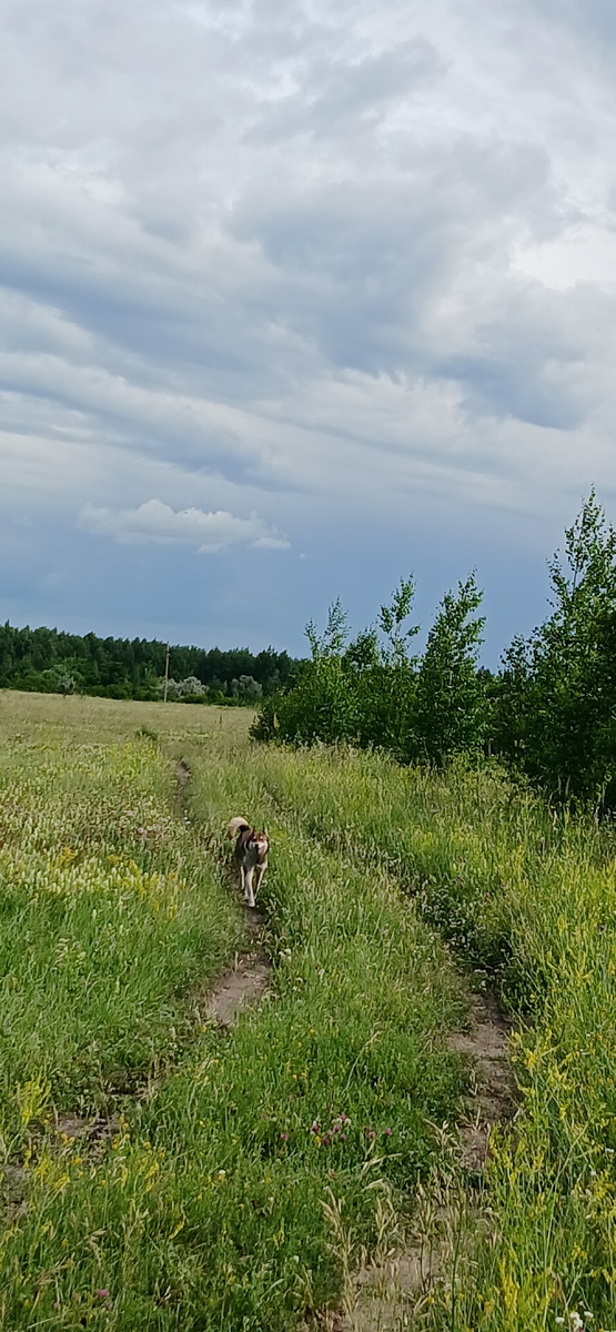 Фото моё как и все другие. 21.06.2026г.