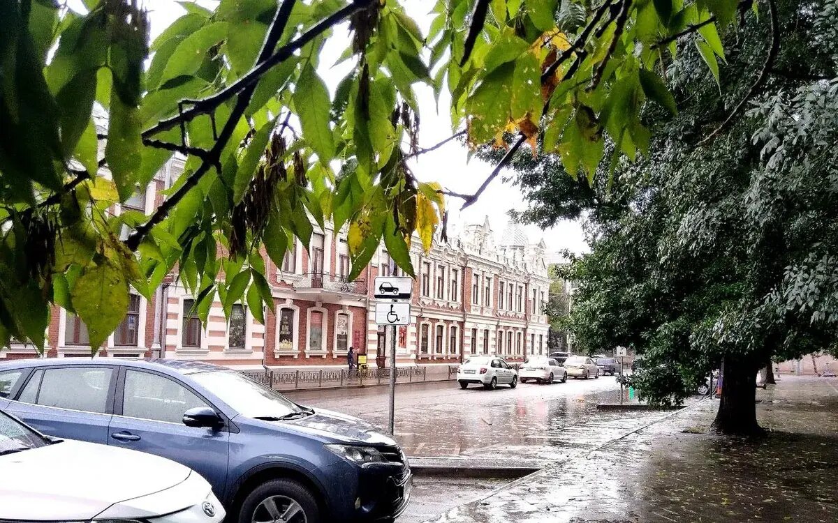    Фото Ольги Жердевой, «Кубань 24»