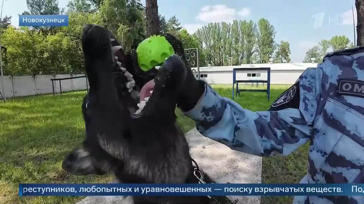    Первый канал