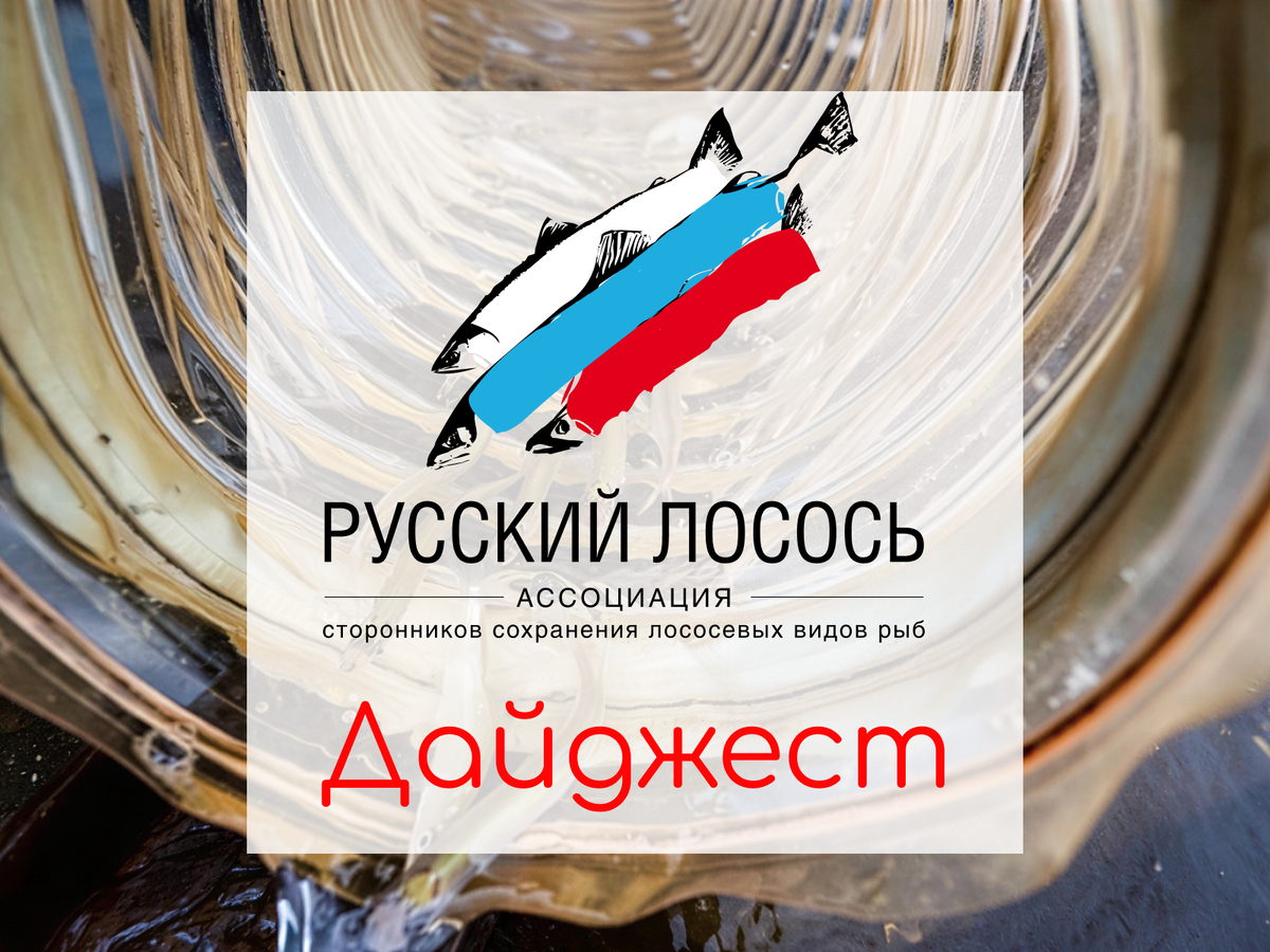 Фото: пресс-служба ФГБУ Главрыбвод