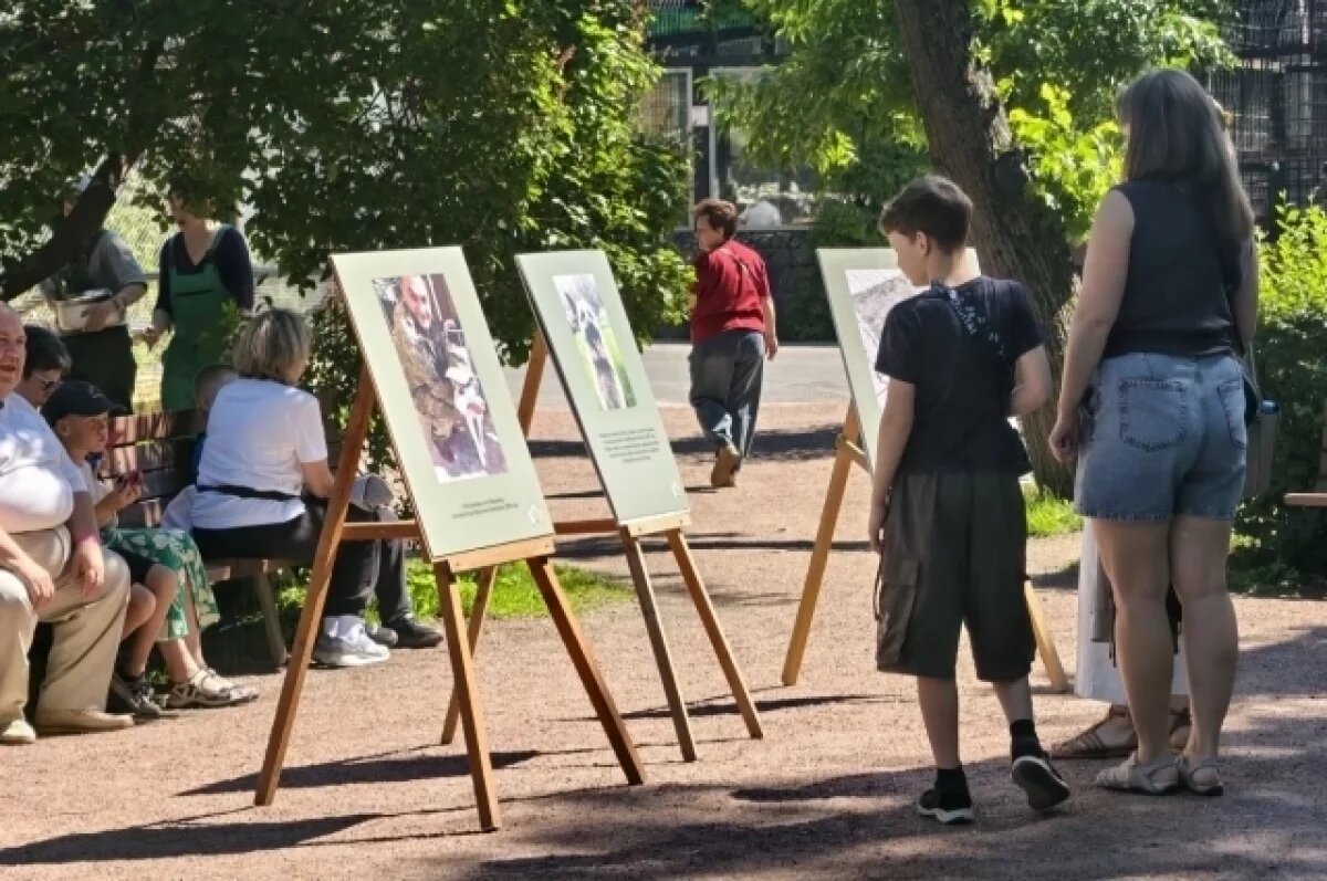    В Ленинградском зоопарке открыли фотовыставку «Четвероногие герои СВО»