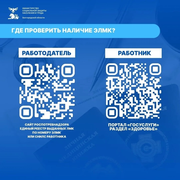     Фото: max.ru/belminsoc31/AZ7qHccRZqc