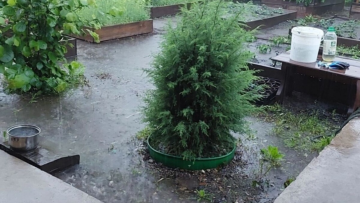    Почти месячная норма осадков выпала в Оренбургском районе накануне   56orb.ru