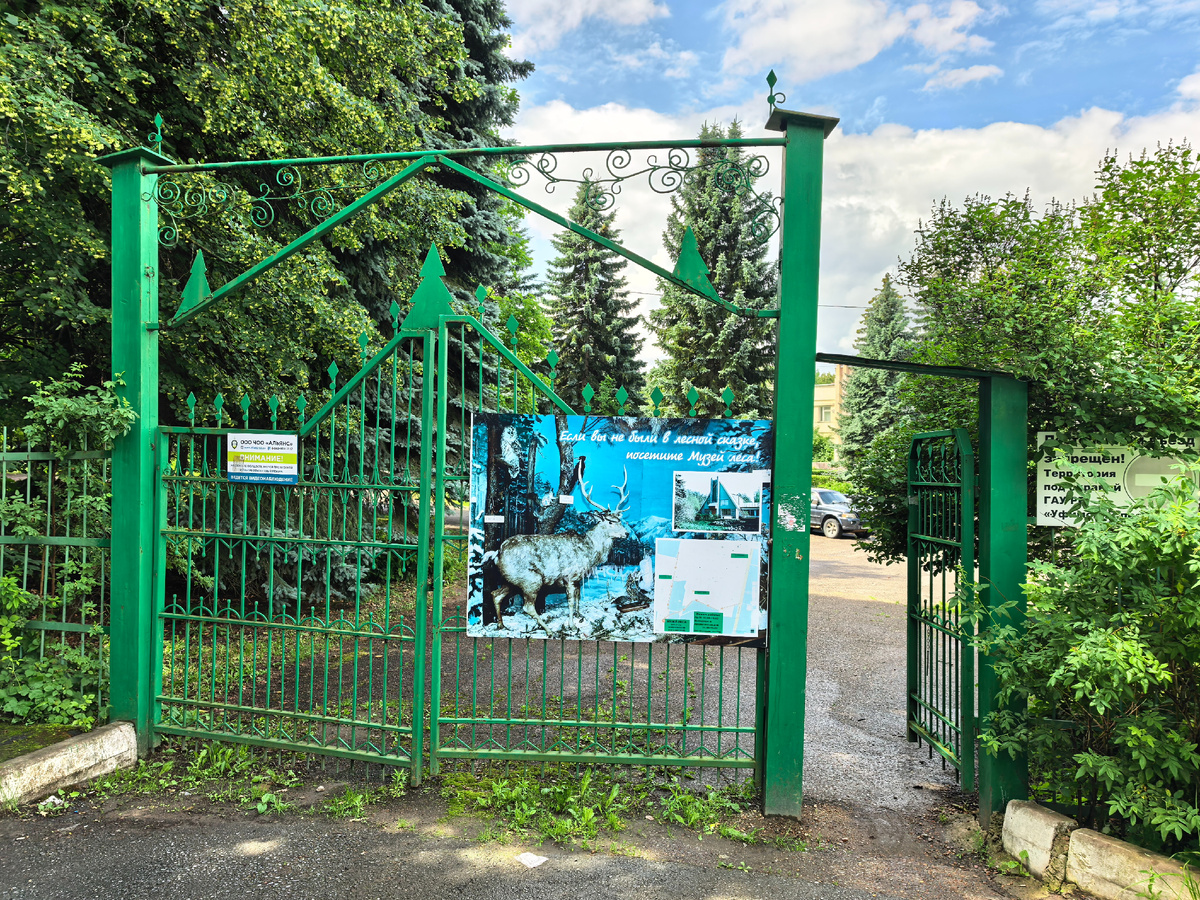 (© Анна, «Маяк энтузиастов»)