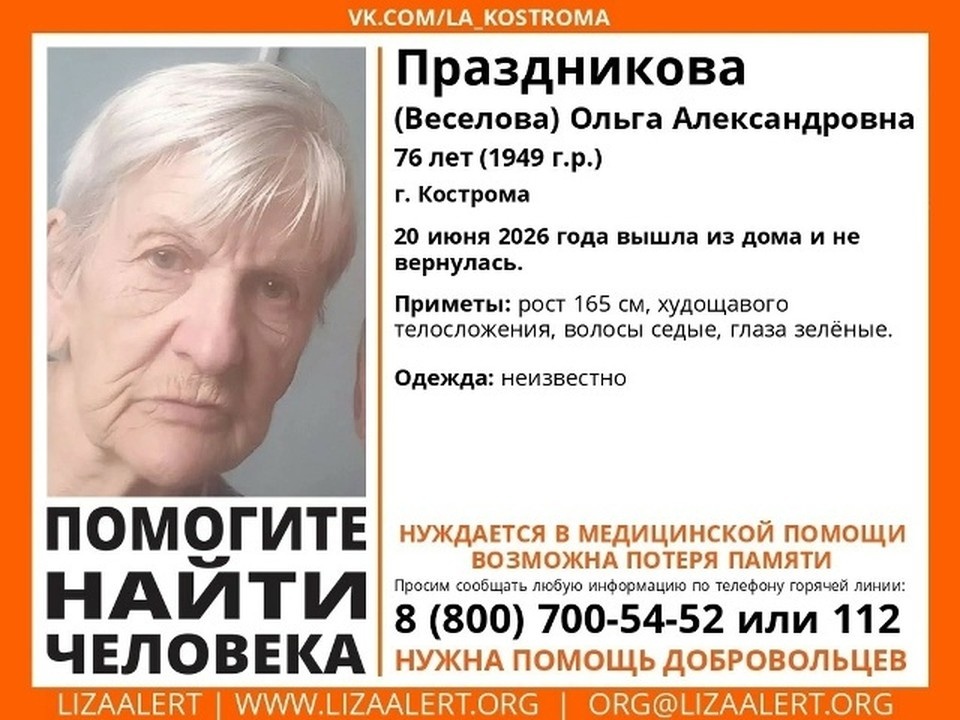   Фото: ДПСО "ЛизаАлерт" Костромской области
