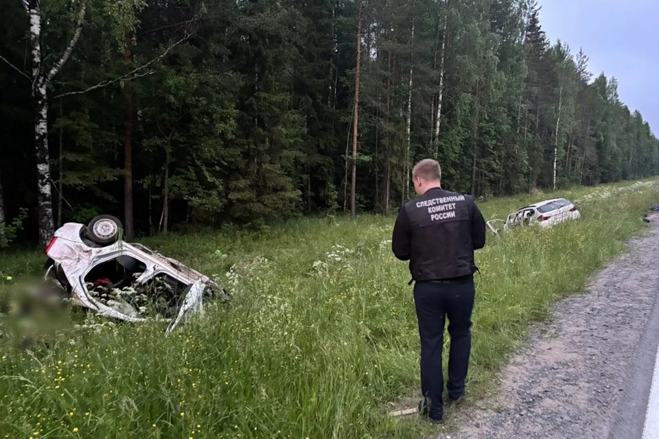    В лобовом ДТП в Архангельске погибли пятеро, в том числе два ребенка. Фото: t.me/su_skr29