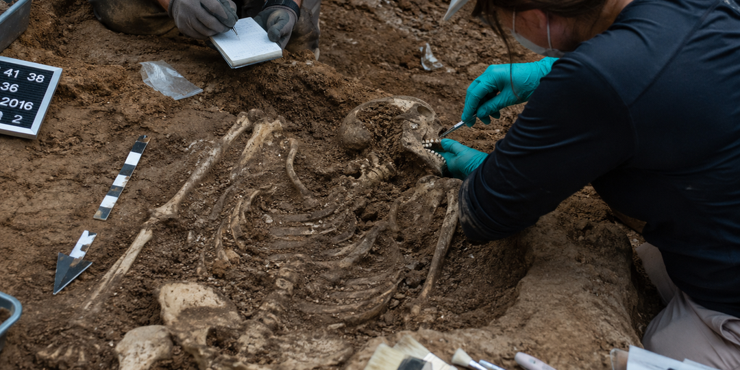 Скелеты с чумой: как древняя ДНК переписывает историю эпидемий