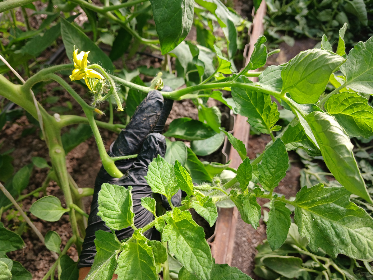 -2