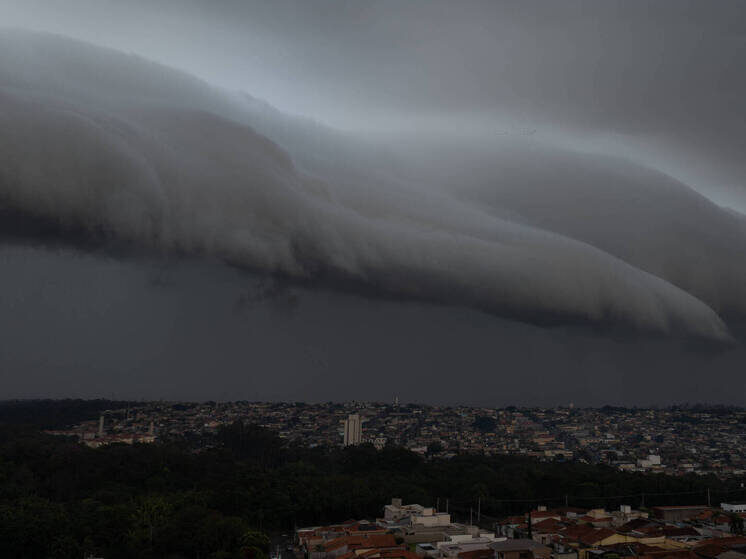     © IMAGO/Joel Silva/ www.imago-images.de/Global Look Press