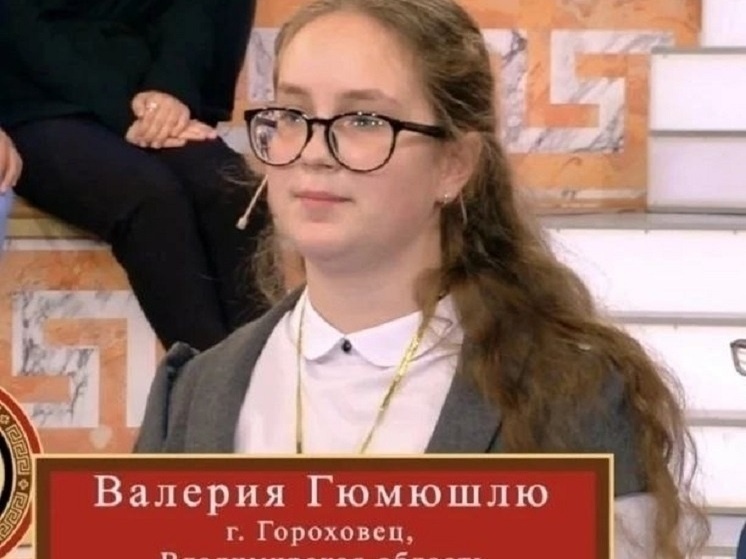     Фото с ТГ-канала правительства Владимирской области