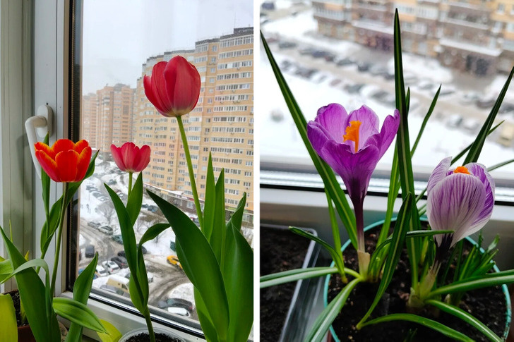 © skalar2019 / Pikabu