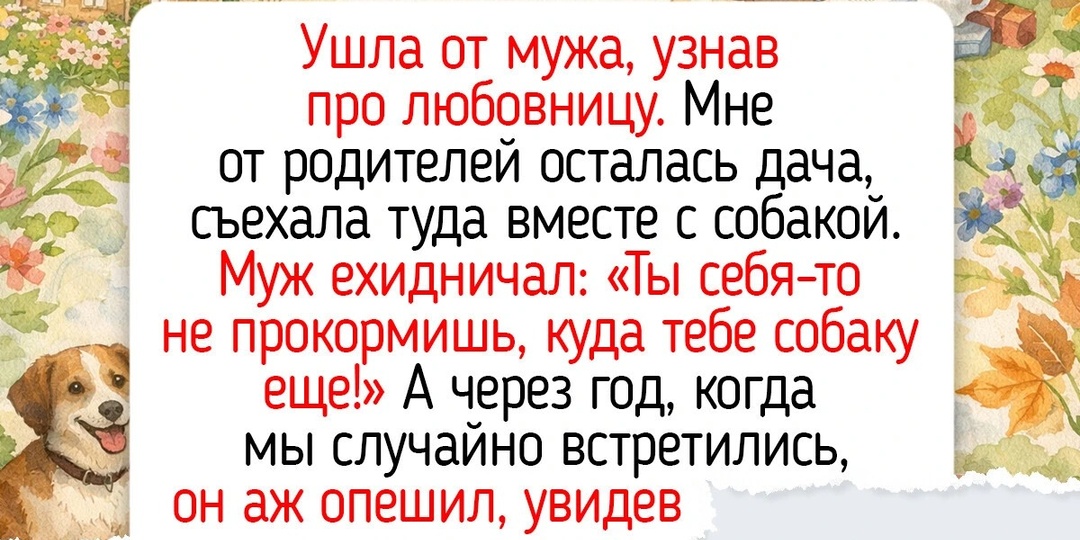12 светлых историй и фото о питомцах, прогулки с которыми согревают лучше июньского солнца