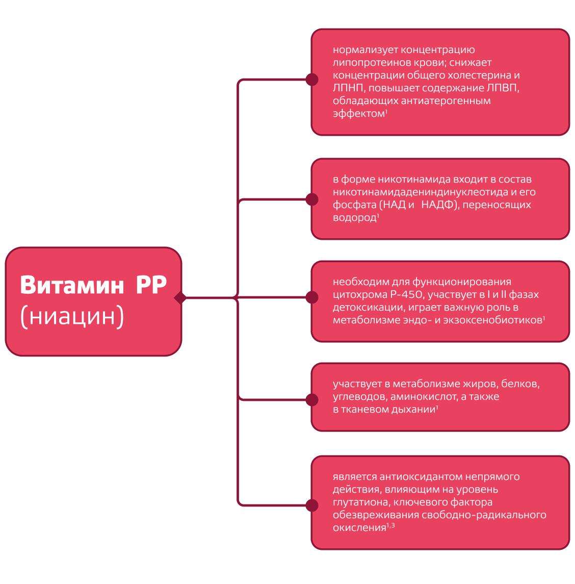 Основные эффекты витамина РР (ниацина)