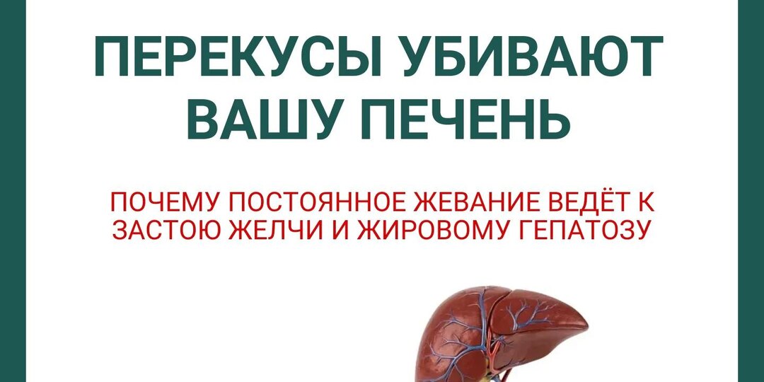 Перекусы убивают вашу печень. Почему постоянное жевание ведёт к застою жёлчи и жировому гепатозу