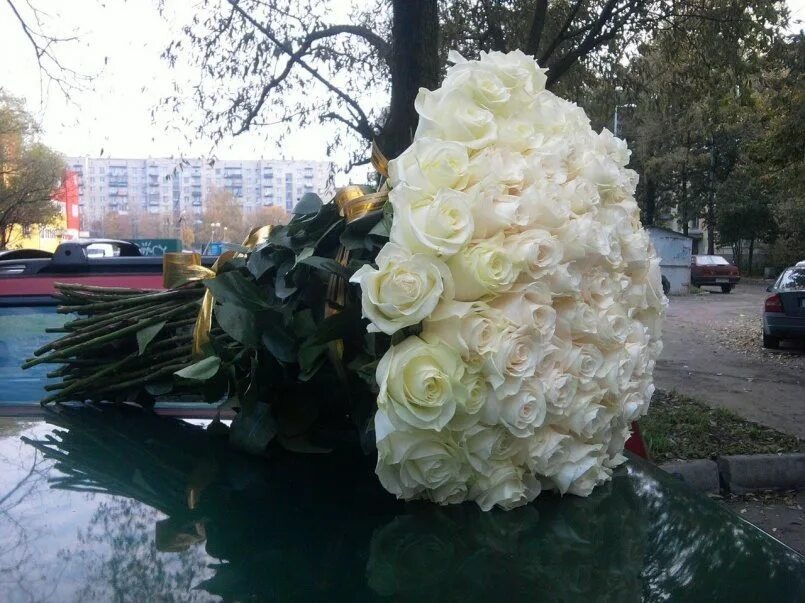Яндекс. Картинки. 