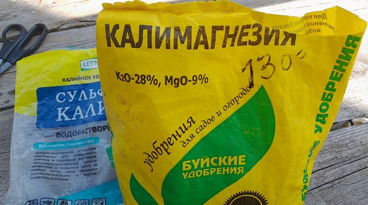 Чем полить томаты во время массового цветения: проверенные подкормки для завязи, против опадения цветков и пустоцветов. Фото автора