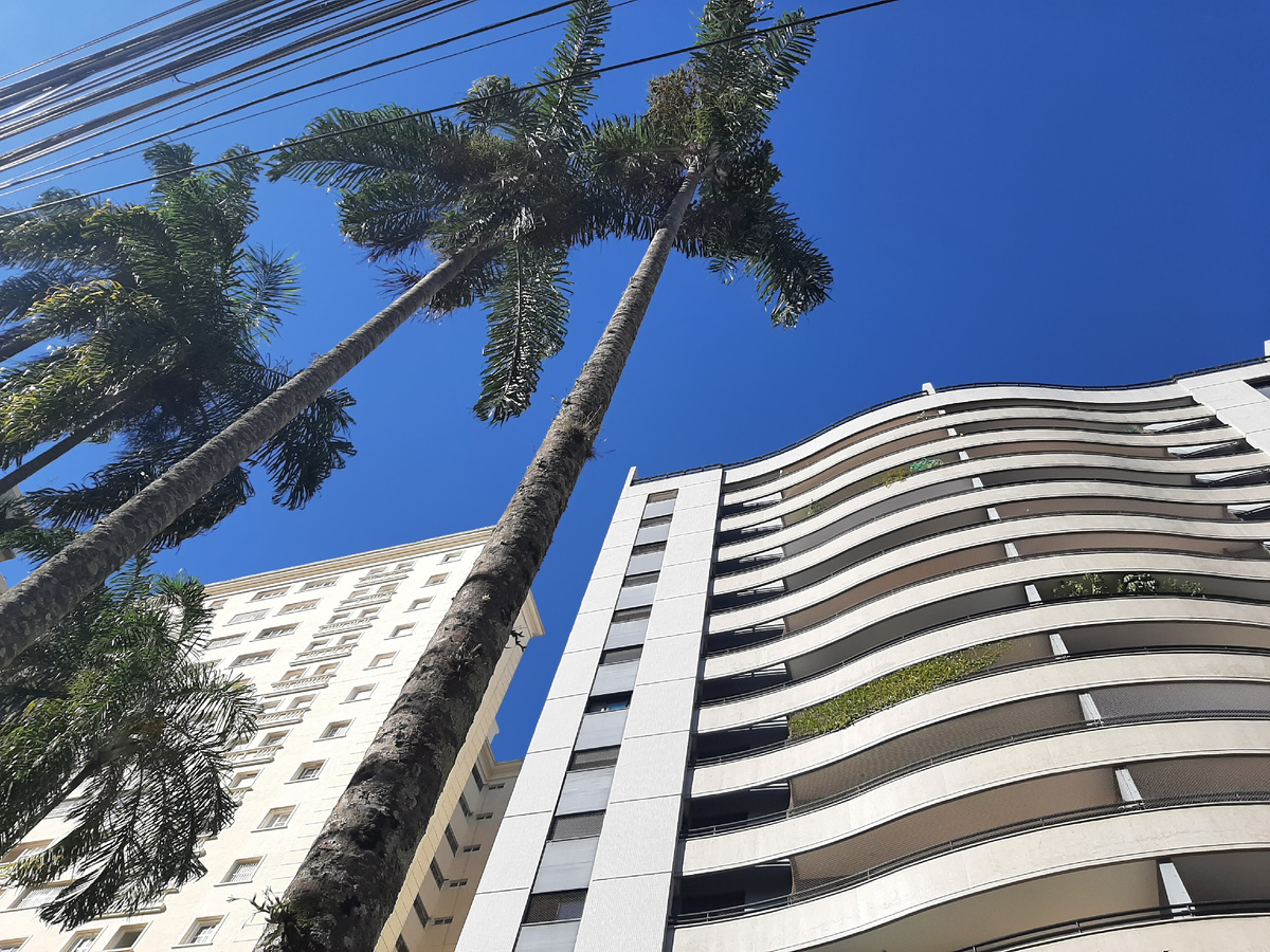 Бразилия, Кампинас.
