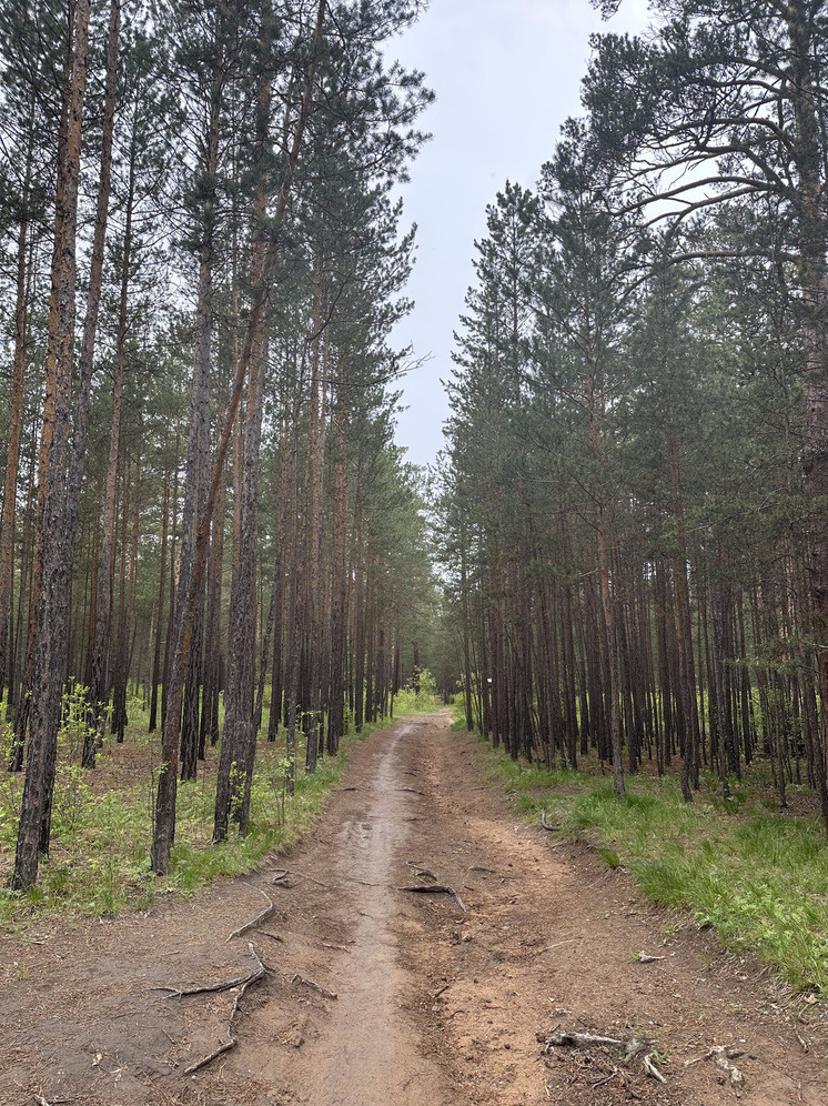   МК в Чите