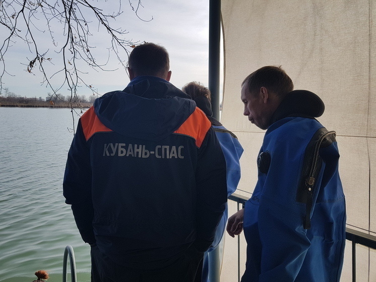     Фото: "МК на Кубани"