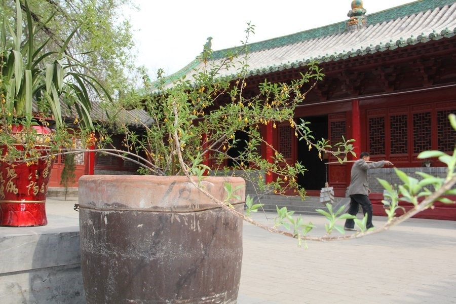 Источник: vk.com/club.shaolin