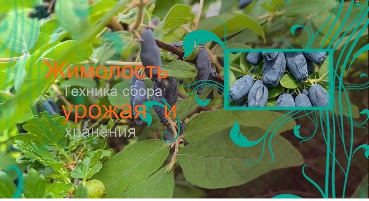 Фото из личного архива