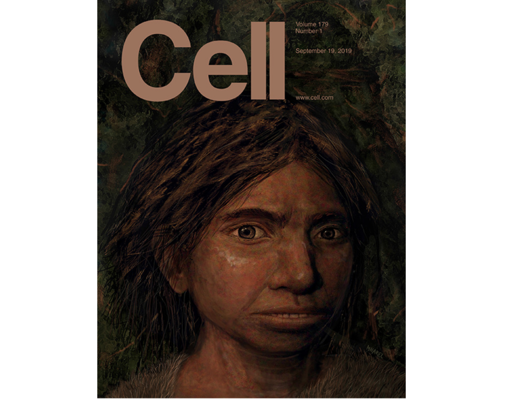 Maayan Harel / Cell📷Обложка журнала Cell с первым художественным изображением денисовского человека. Портрет женщины основан на профиле скелета, реконструированном по ДНК